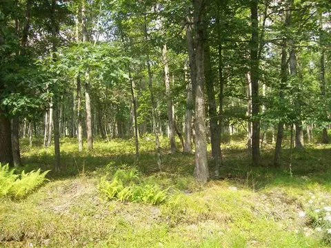 lot178 A Majestic Ct, East Stroudsburg, PA 18302