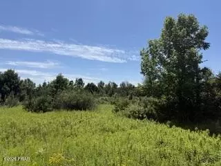 Kellows Road, Honesdale, PA 18431