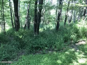 111 Koch Rd, Tafton, PA 18464