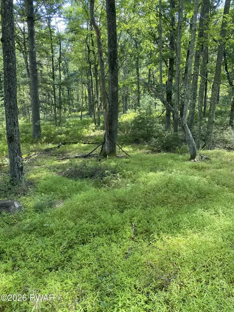 lot12 B Woodlyn Acres Rd, Hawley, PA 18428