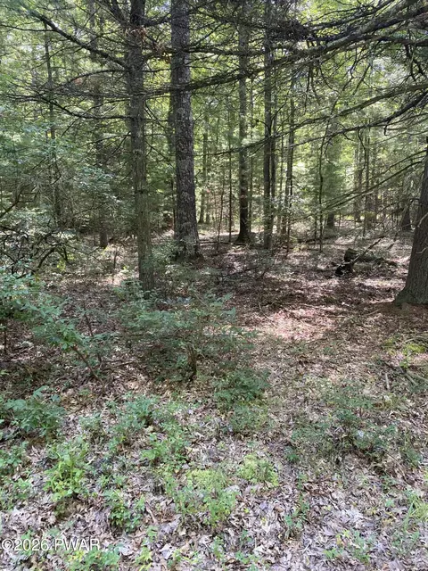 lot35 Cricket Hill Rd, Hawley, PA 18428