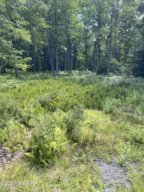 lot38 B Woodlyn Acres Rd, Hawley, PA 18428
