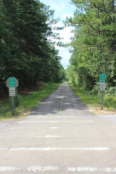 172 Higgins, Sumrall, MS 39482 photo 49