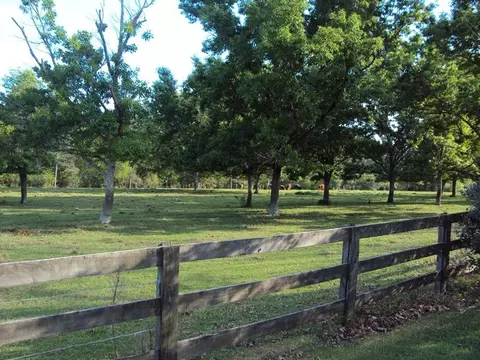 243 Mitchell Rd, Purvis, MS 39475 photo 17