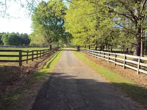 243 Mitchell Rd, Purvis, MS 39475 photo 2
