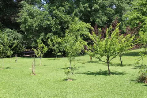 287 Holly Rd, Laurel, MS 39443 photo 9
