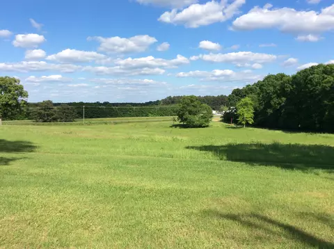 2411 Hwy 49, Collins, MS 39428 photo 2