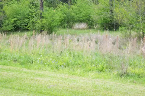 16 Township Rd, Laurel, MS 39443 photo 4