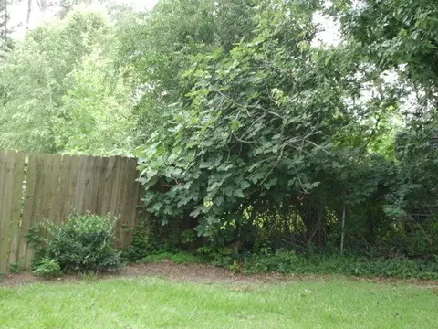 101 Poplar Loop, Petal, MS 39465 photo 35