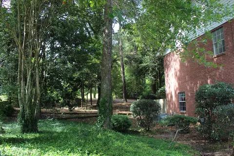 61 Wansley Rd, Laurel, MS 39440 photo 4