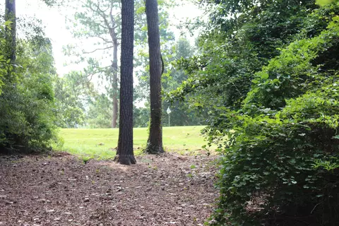 61 Wansley Rd, Laurel, MS 39440 photo 9