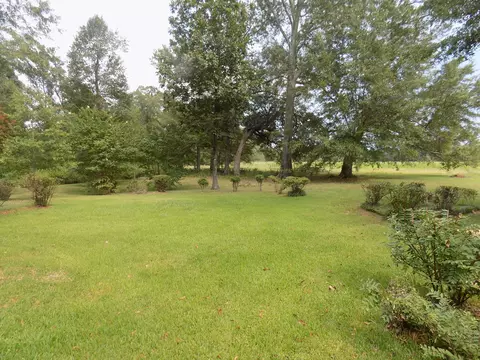 39 Freeman Rd, Richton, MS 39476 photo 26