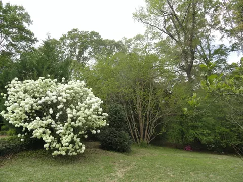 1321 N 11th Ave, Laurel, MS 39440 photo 3