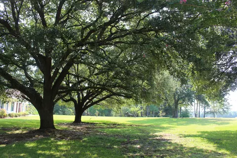 2760 Hwy 84 E, Laurel, MS 39443 photo 5