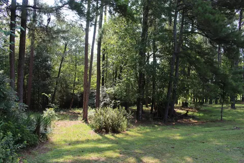 2760 Hwy 84 E, Laurel, MS 39443 photo 17