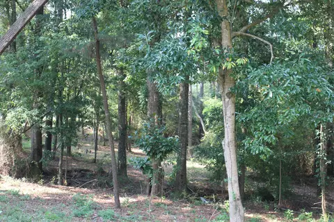 2760 Hwy 84 E, Laurel, MS 39443 photo 8