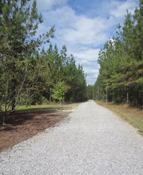 181 Big Hill Rd, Sumrall, MS 39482 photo 47