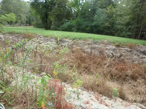 1018 Lamar Dr, Laurel, MS 39440 photo 20
