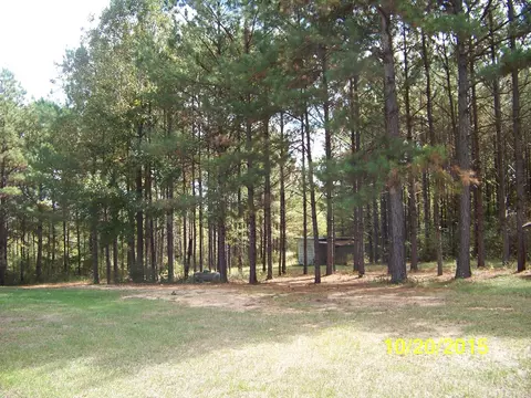 766 Hurricane Creek Rd, Sandy Hook, MS 39478 photo 6
