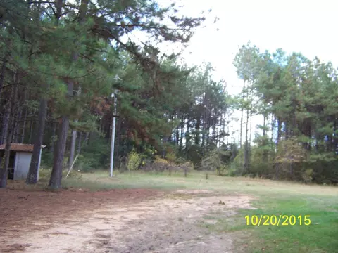 766 Hurricane Creek Rd, Sandy Hook, MS 39478 photo 5
