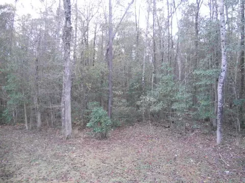 66 Timber Ridge Ln, Purvis, MS 39475 photo 10