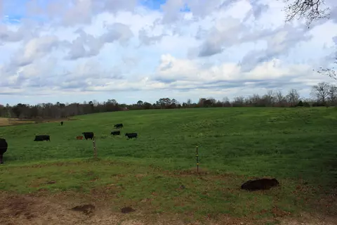 40 Acres Hwy 42, Sumrall, MS 39482 photo 2
