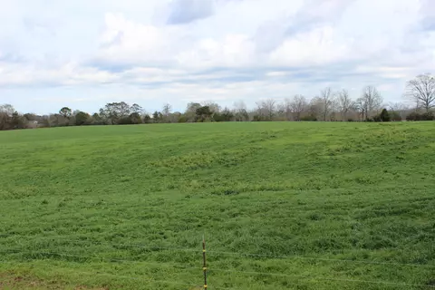 40 Acres Hwy 42, Sumrall, MS 39482 photo 4