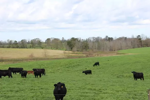 40 Acres Hwy 42, Sumrall, MS 39482 photo 1