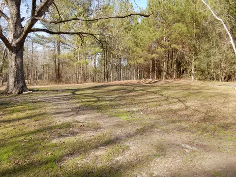 851 Three Notch Rd, Collins, MS 39428 photo 7