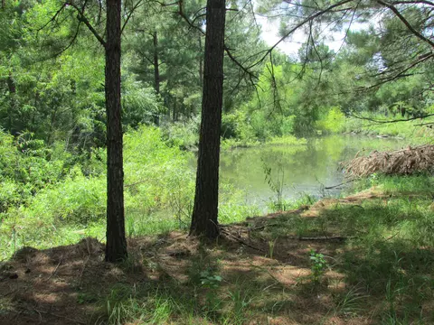 155 Shattles Loop, Brooklyn, MS 39425 photo 39
