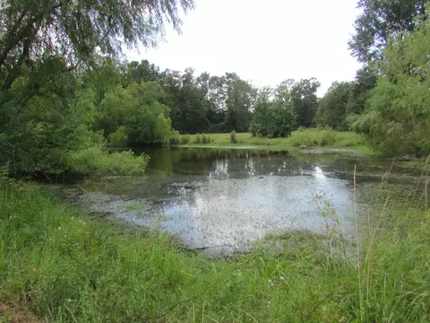 155 Shattles Loop, Brooklyn, MS 39425 photo 38