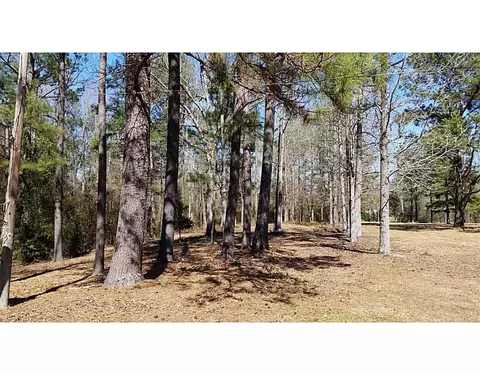 270 Shattles Loop, Brooklyn, MS 39425 photo 17