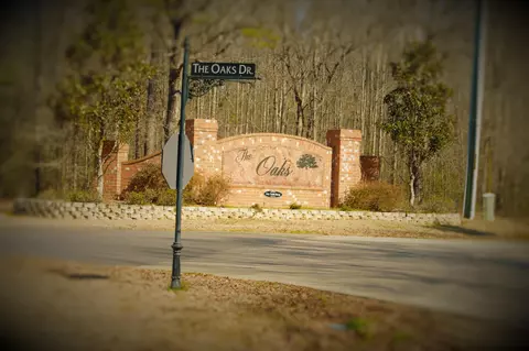 27 E Spanish Oak, Sumrall, MS 39482 photo 40