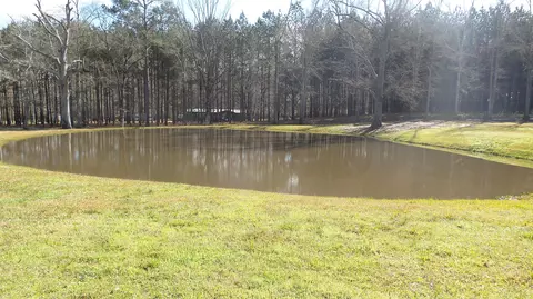 124 Pine, Laurel, MS 39443 photo 4