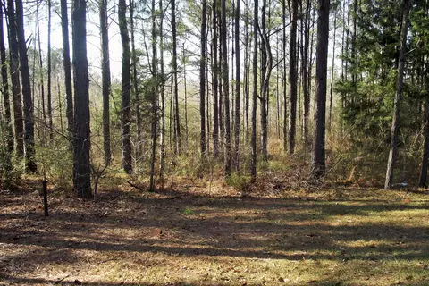 1459 Cr 10, Stringer, MS 39481 photo 3