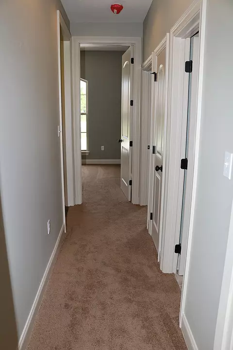 179 Sunline Dr, Petal, MS 39465 photo 19