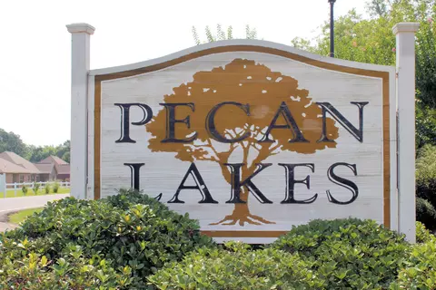 179 Sunline Dr, Petal, MS 39465 photo 26
