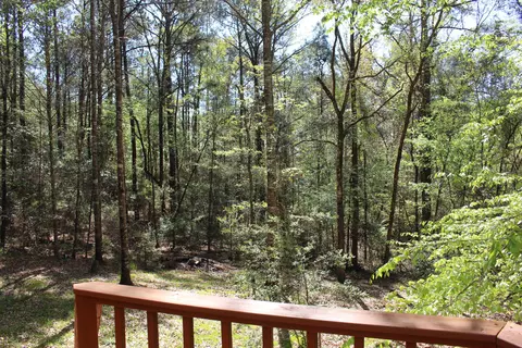 14 Hickory Pt, Laurel, MS 39443 photo 14