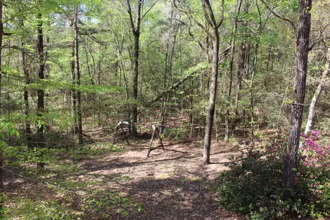 14 Hickory Pt, Laurel, MS 39443 photo 15