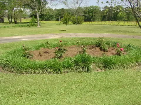 25 1st Ave, Sumrall, MS 39482 photo 39
