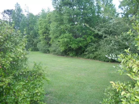 30 Maple Rd, Petal, MS 39465 photo 27