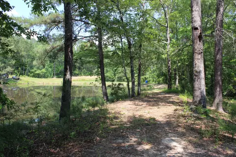 66 Munn Rd, Sumrall, MS 39482 photo 35