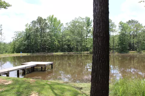 66 Munn Rd, Sumrall, MS 39482 photo 8