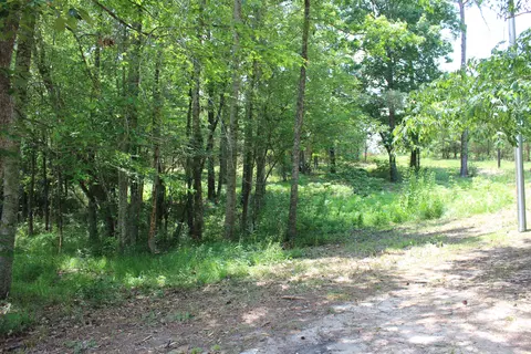 66 Munn Rd, Sumrall, MS 39482 photo 14