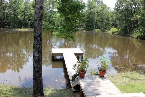 66 Munn Rd, Sumrall, MS 39482 photo 7