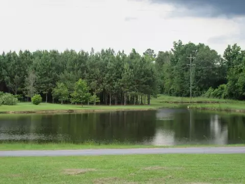 35 Welborn Rd, Laurel, MS 39443 photo 1
