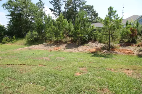 4 Caley Cir, Purvis, MS 39475 photo 22