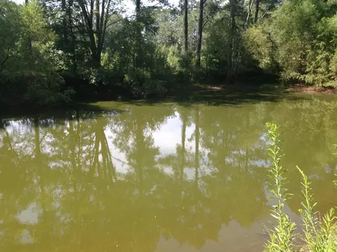 414 Smith Chapel Rd, Laurel, MS 39443 photo 4