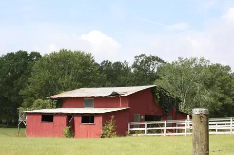 725 Nobles Rd, Sumrall, MS 39482 photo 25
