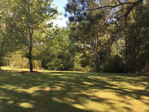 61 Cr Meadows Loop, Richton, MS 39476 photo 3